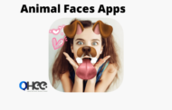 05 Best Animal Faces Apps for Android and IOS