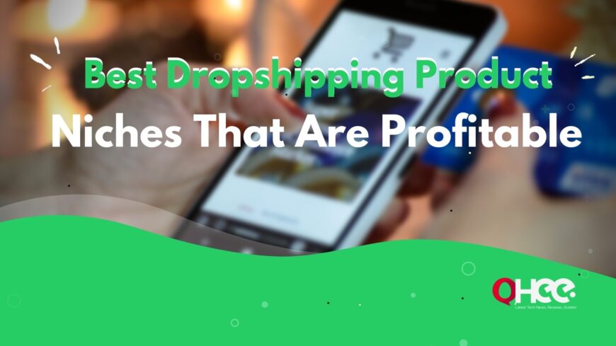 Best Dropshipping Product Niches That Are Profitable