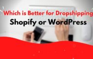 Which is Better for Dropshipping Shopify or WordPress