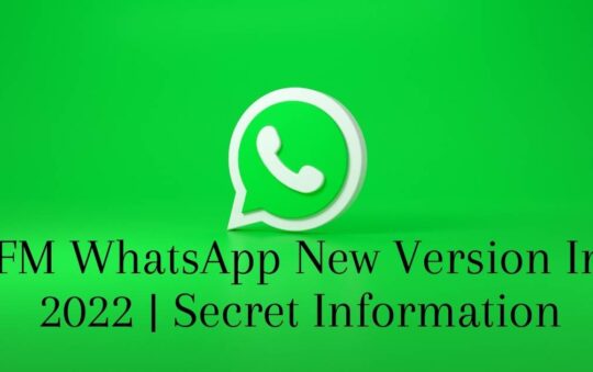 FM WhatsApp New Version In 2022 | Secret Information